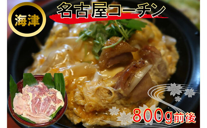 【ふるさと納税】生きいき！　名古屋コーチン　【お肉・鶏肉】