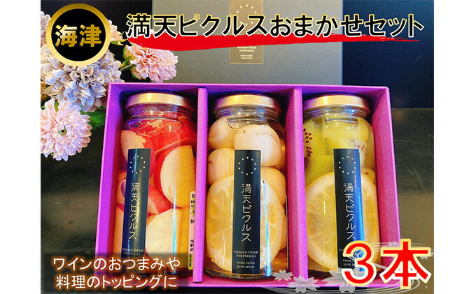 【ふるさと納税】満天ピクルスおまかせ3本セット　【漬物・缶詰・加工食品】