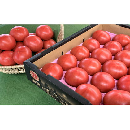 トマト　【野菜・トマト・とまと】　お届け：毎年12月頃～翌年6月下旬まで