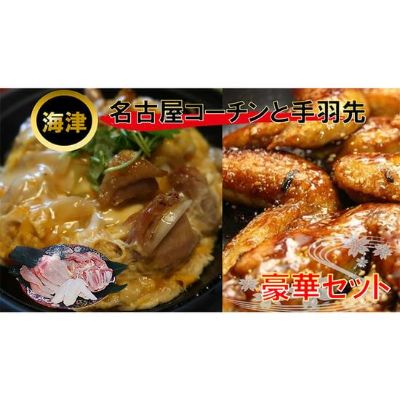 【ふるさと納税】生きいき！名古屋コーチン 約1.6kg+手羽先2本　【鶏肉ささみ・鶏肉・ムネ・お肉・モモ・名古屋コーチン・手羽先】