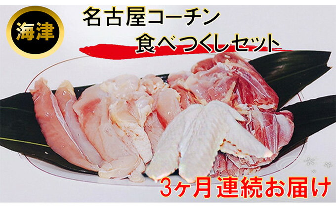 【ふるさと納税】【3ヶ月連続お届け】名古屋コーチン もも・むね・ささみ合計2.4kg +手羽先6本　【定期便・お肉・鶏肉・ムネ・名古屋コーチン・手羽先・もも・むね・ささみ・3カ月・3回】