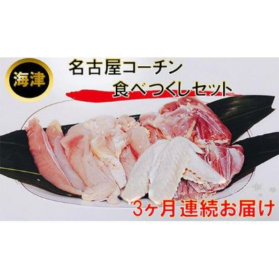 [3ヶ月連続お届け]名古屋コーチン もも・むね・ささみ合計2.4kg +手羽先6本 [定期便・お肉・鶏肉・ムネ・名古屋コーチン・手羽先・もも・むね・ささみ・3カ月・3回]