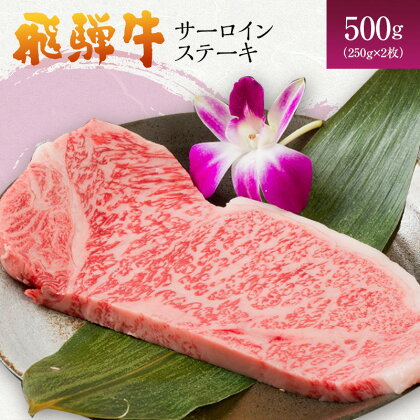 岐阜県海津市産 飛騨牛サーロインステーキ(250g×2枚)　【牛肉・サーロイン・ステーキ・飛騨牛・サーロインステーキ・500g】