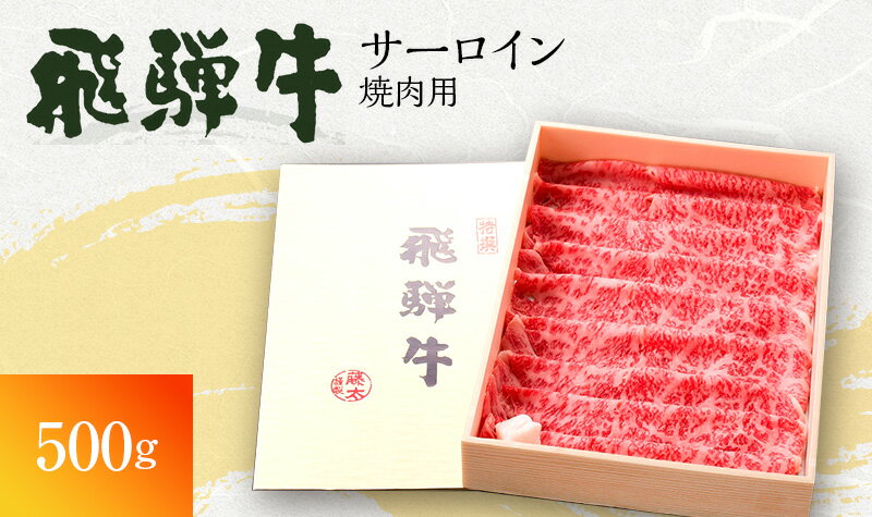 【ふるさと納税】飛騨牛 サーロイン 岐阜県海津市産 焼肉 500g 牛肉　【 焼き肉 牛 お肉 肉 冷凍 バーベキュー BBQ 】