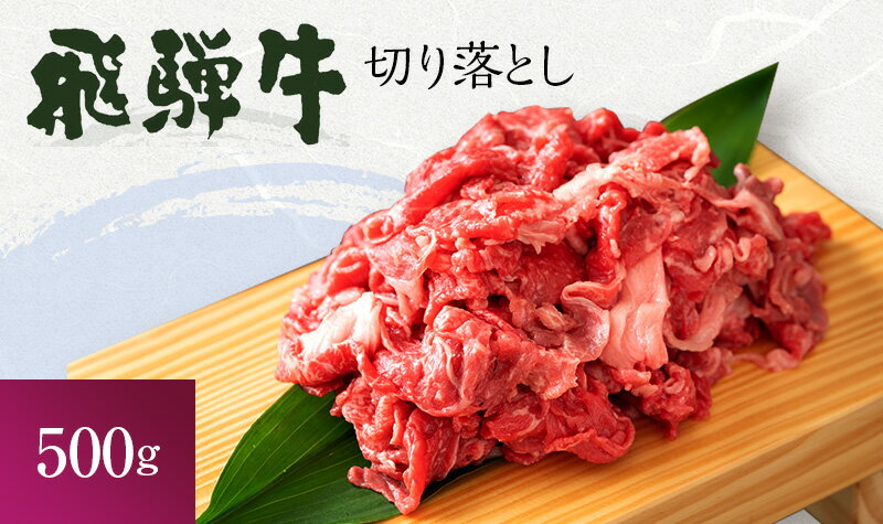 【ふるさと納税】飛騨牛 岐阜県海津市産 すき焼き 切り落とし 500g 牛肉　【 すきやき 牛 お肉 肉 冷凍 】