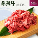 飛騨牛 【ふるさと納税】飛騨牛 岐阜県海津市産 すき焼き 切り落とし 500g 牛肉　【 すきやき 牛 お肉 肉 冷凍 】