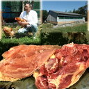 【ふるさと納税】神代の味 奥美濃古地鶏肉セット