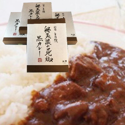 13位! 口コミ数「0件」評価「0」神代の味・奥美濃古地鶏 黒カレー 4箱セット　【 お肉 鶏肉 加工食品 レトルト カレー 奥美濃古地鶏 玉ねぎ 黒カレー 柔らかい 】