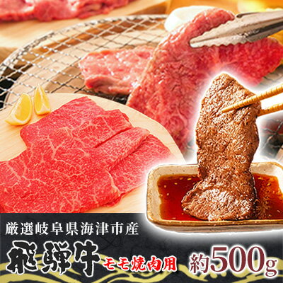 [飛騨牛]海津市産モモ焼肉オリジナルカット [配達不可:離島] [ お肉 牛肉 焼肉用 バーベキュー もも肉 ブランド牛 赤身 適度なサシ 霜降り 濃厚 旨味 脂身が少ない ダイエット おうち焼肉 岐阜県産 国産 ]