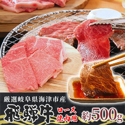 [飛騨牛]海津市産ロース焼肉オリジナルカット [配達不可:離島] [ お肉 牛肉 焼肉用 バーベキュー ロース肉 ブランド牛 国産 岐阜県産 柔らかい肉質 サシ 霜降り とろける 甘い脂 旨味 おうち焼肉 ]