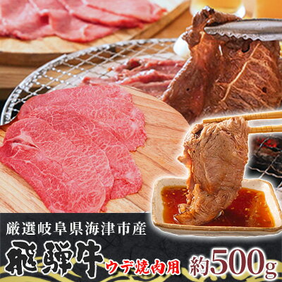[飛騨牛]海津市産ウデ焼肉オリジナルカット [配達不可:離島]