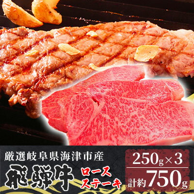 [飛騨牛]海津市産ロースステーキ250g×3 [配達不可:離島] [ お肉 牛肉 ステーキ用 国産 岐阜県産 ブランド牛 夕飯 記念日 ディナー 柔らかい サシ 霜降り ボリューミー とろける 旨味 ]