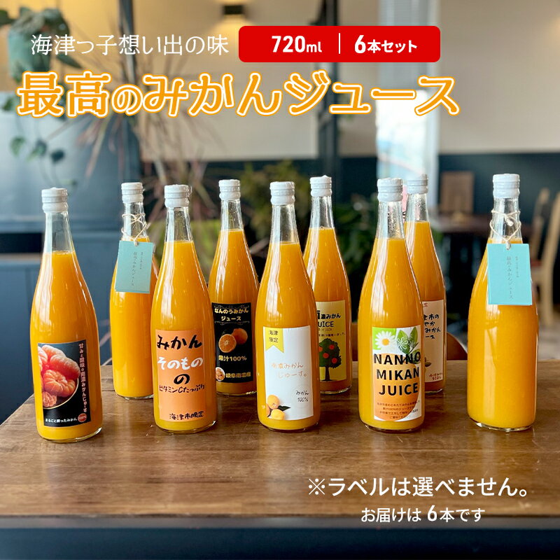 【ふるさと納税】海津っ子の想い出の味　最高のみかんジュース　6本セット　【果汁飲料・野菜飲料・みかんジュース】