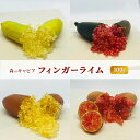 【ふるさと納税】フィンガーライム100g 森のキャビア キャビアライム フルーツキャビア お届け:2025年7月上旬~2026年1月下旬まで