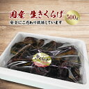 【ふるさと納税】生きくらげ 500g【1034137】