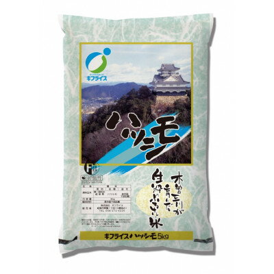 岐阜県産ハツシモ5kg【1326631】