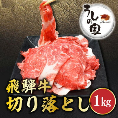 【ふるさと納税】うしの家の飛騨牛切り落とし　1kg(250g×4パック)　大好評につき9月から出荷再開!!【配送不可地域：離島】【1418727】