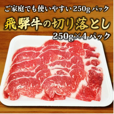 【ふるさと納税】うしの家の飛騨牛切り落とし　1kg(250g×4パック)　大好評につき9月から出荷再開!!【配送不可地域：離島】【1418727】