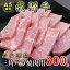 【ふるさと納税】[希少部位]A5等級飛騨牛三角バラ焼肉用300g【配送不可地域：離島】【1445729】