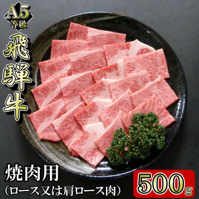 [A5等級]飛騨牛焼肉用500g　ロース又は肩ロース肉【配送不可地域：離島】【1445787】