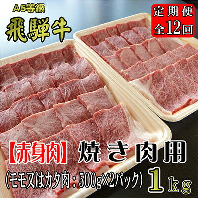【ふるさと納税】2022年12月発送開始『定期便』A5等級飛騨牛【赤身肉】焼き肉用約1kg全12回【5102511】