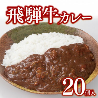 【ふるさと納税】飛騨牛カレー20個セット【配送不可地域：離島】【1304876】