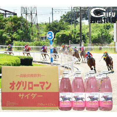 【ふるさと納税】オグリローマンサイダー350ml×12本【1315007】