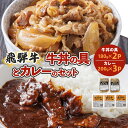 【ふるさと納税】飛騨牛牛丼の具とカレーのセット【配送不可地域:離島】【1213292】