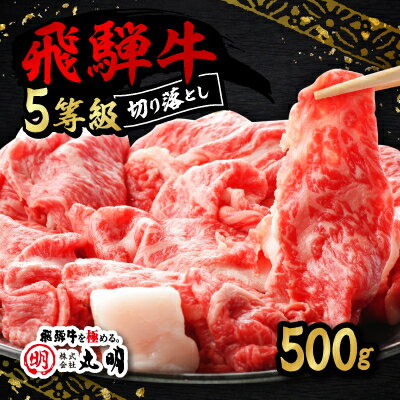 【ふるさと納税】飛騨牛5等級　切り落とし用途いろいろ　500g【配送不可地域：離島・北海道・沖縄県】...