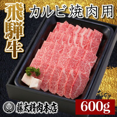 【ふるさと納税】【飛騨牛】カルビ焼肉600g【配送不可地域：離島】【1046750】