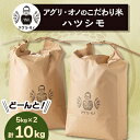 【ふるさと納税】令和7年産 アグリ・オノのこだわり米 ハツシモ 10kg(5kg×2)【1101640】