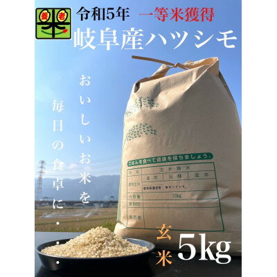 令和5年産岐阜ハツシモ 5kg 玄米