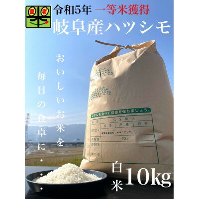 令和5年産 岐阜ハツシモ 10kg 精米