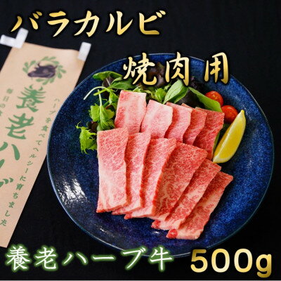 【ふるさと納税】養老ハーブ牛　バラカルビ　焼肉用　500g【