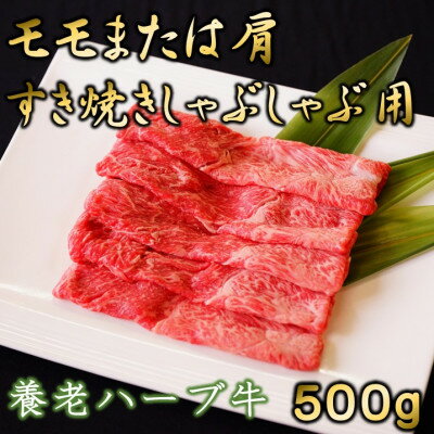 養老ハーブ牛 モモまたは肩 すき焼き・しゃぶしゃぶ両用 500g[配送不可地域:離島]