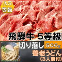 1位! 口コミ数「0件」評価「0」飛騨牛 5等級　切り落し　500g　養老うどん付(3人前)【配送不可地域：離島】【1416455】