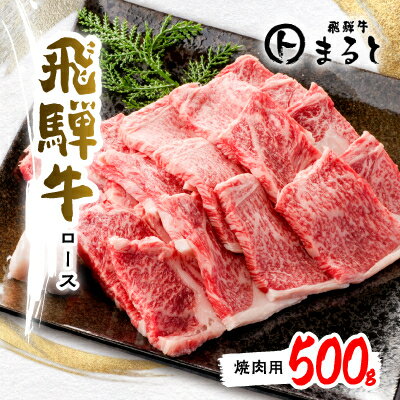 [飛騨牛]ロース(焼肉用)500g[配送不可地域:離島]