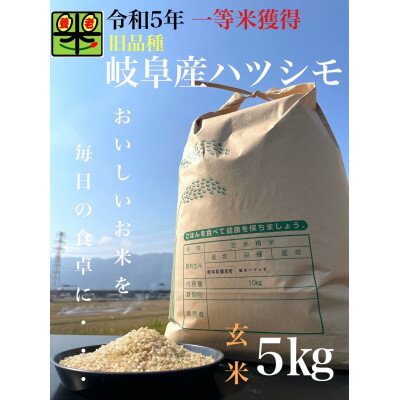 【ふるさと納税】令和5年産　ハツシモ(旧品種)　5kg　玄米【1459559】