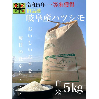 令和5年産 ハツシモ(旧品種) 5kg 白米