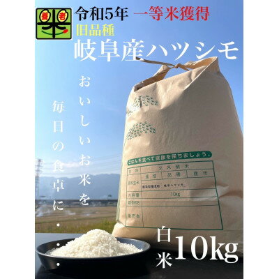 【ふるさと納税】令和5年産　ハツシモ(旧品種)　10kg　白米【1460333】