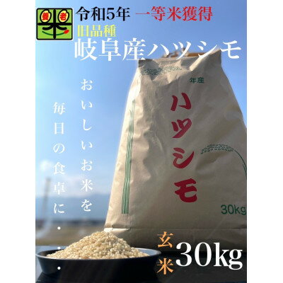 【ふるさと納税】令和5年産　ハツシモ(旧品種)　30kg　玄米【1460335】