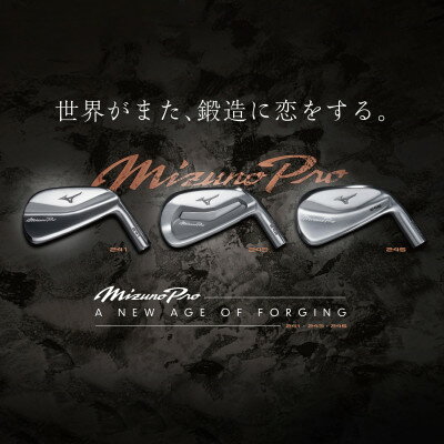 Mizuno Pro 241 アイアン 6本組(No.5〜9、PW)5KJSS33106S2