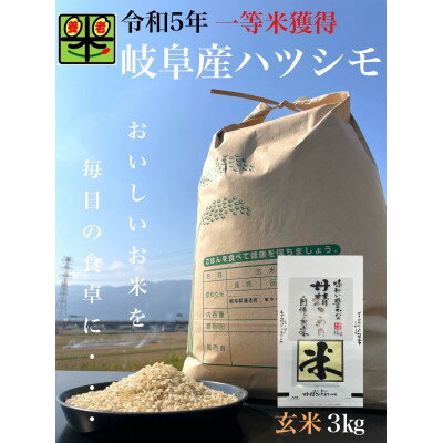 岐阜県養老町産 ハツシモSL 3kg 玄米