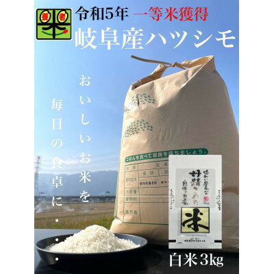 岐阜県養老町産 令和5年産 ハツシモSL 3kg 白米 一等米