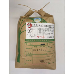 【ふるさと納税】令和7年岐阜県養老産ケリ米ハツシモ 白米5kg【1512097】