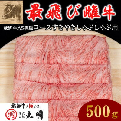 【ふるさと納税】【最飛び雌牛】飛騨牛A5等級ロースすきやきしゃぶしゃぶ用 500g【配送不可地域:離島】【1520142】