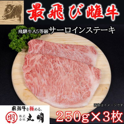 【ふるさと納税】【最飛び雌牛】飛騨牛A5等級サーロインステーキ 250g×3枚【配送不可地域:離島】【1520145】 【ふるさと納税】【最飛び雌牛】飛騨牛A5等級サーロインステーキ 250g×3枚【配送不可地域:離島】【1520145】