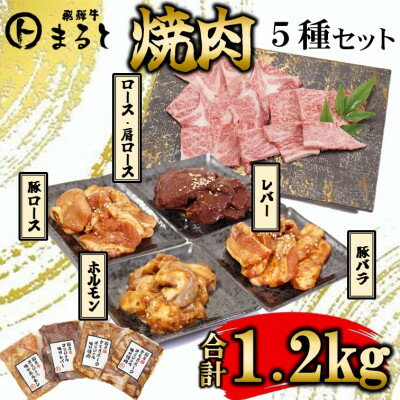 【ふるさと納税】【飛騨牛】焼肉5種セットA-5 ロース・肩ロースと味付けホルモンなど 合計1.2kg【配送不可地域:離島】【1619901】