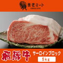 【ふるさと納税】飛騨牛 サーロインブロック 5kg【配送不可地域:離島】【1622929】