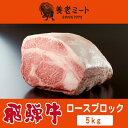 【ふるさと納税】飛騨牛 ロースブロック 5kg【配送不可地域:離島】【1622933】